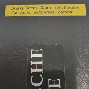 OrangUtan Slidebox