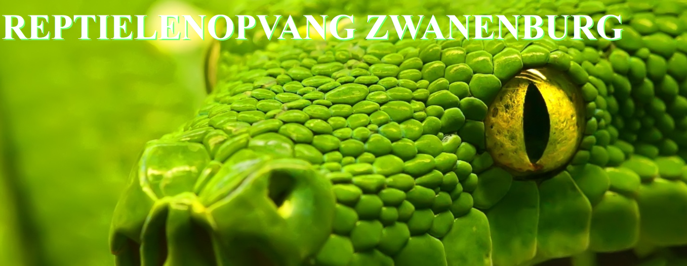 zwanenburg_logo
