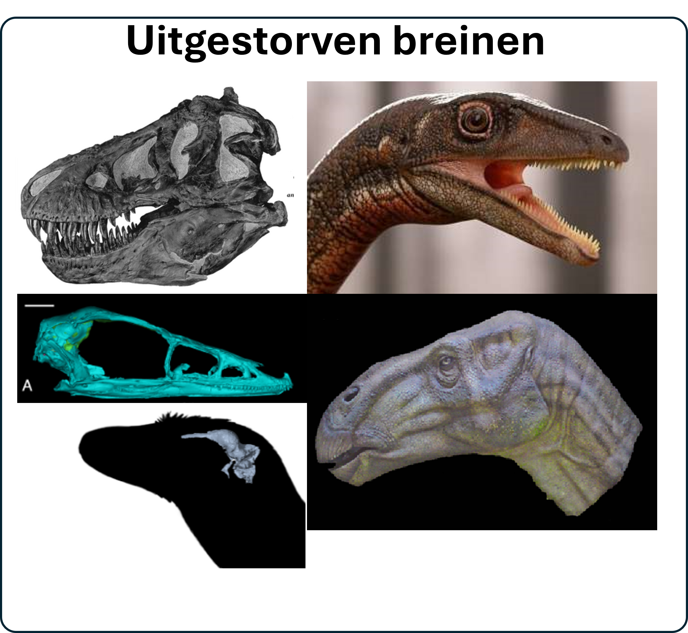 ga naar de Uitgestorven breinen